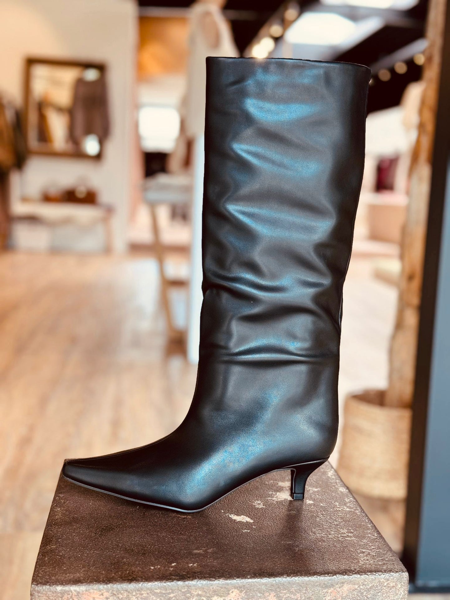Boots kitten black