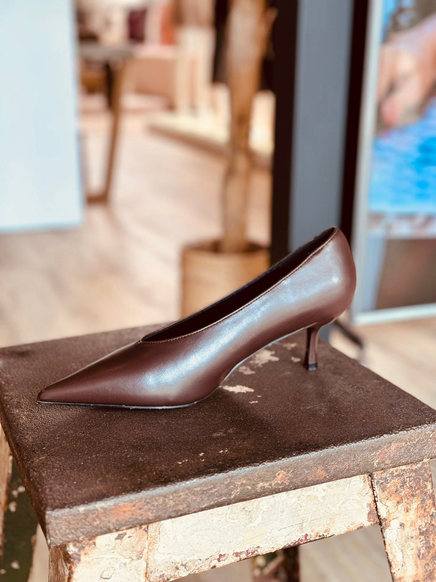 Pump kitten brown