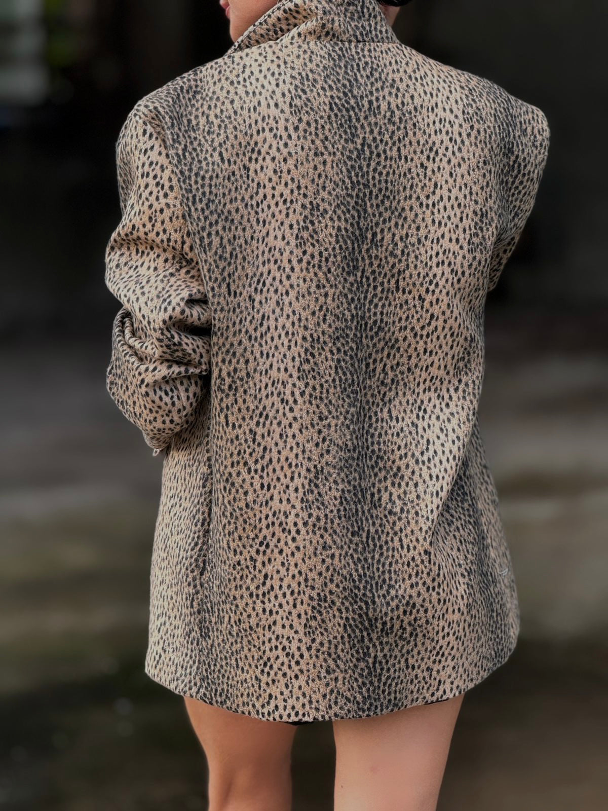 Blazer Leo
