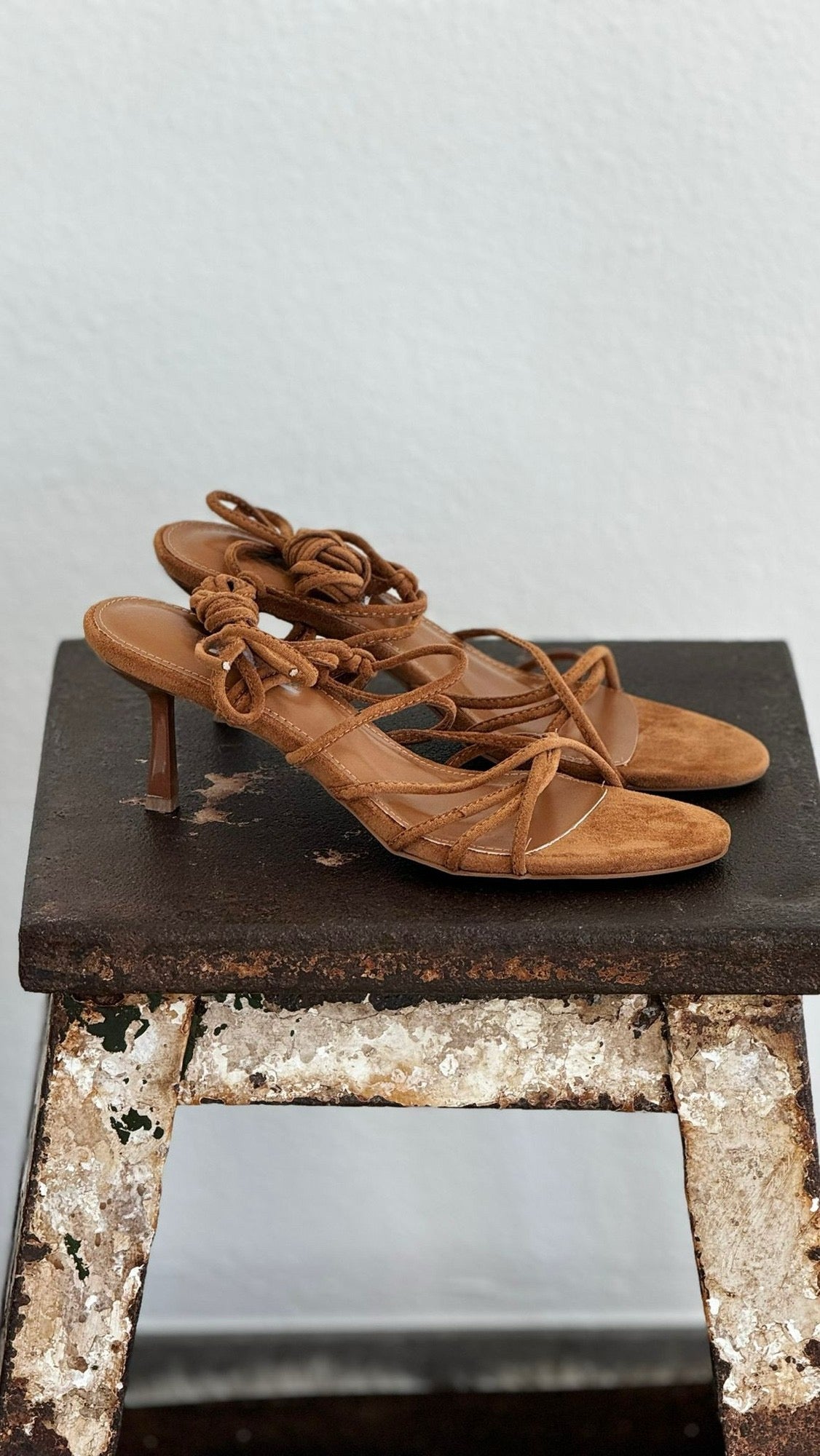 Sandal desert camel
