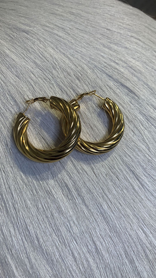 Earrings round hoops