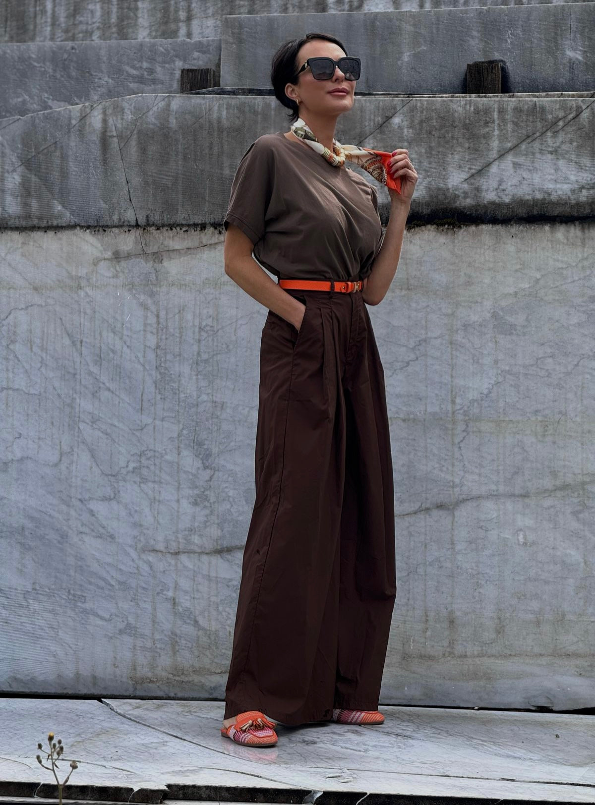 Tee Arizona brown