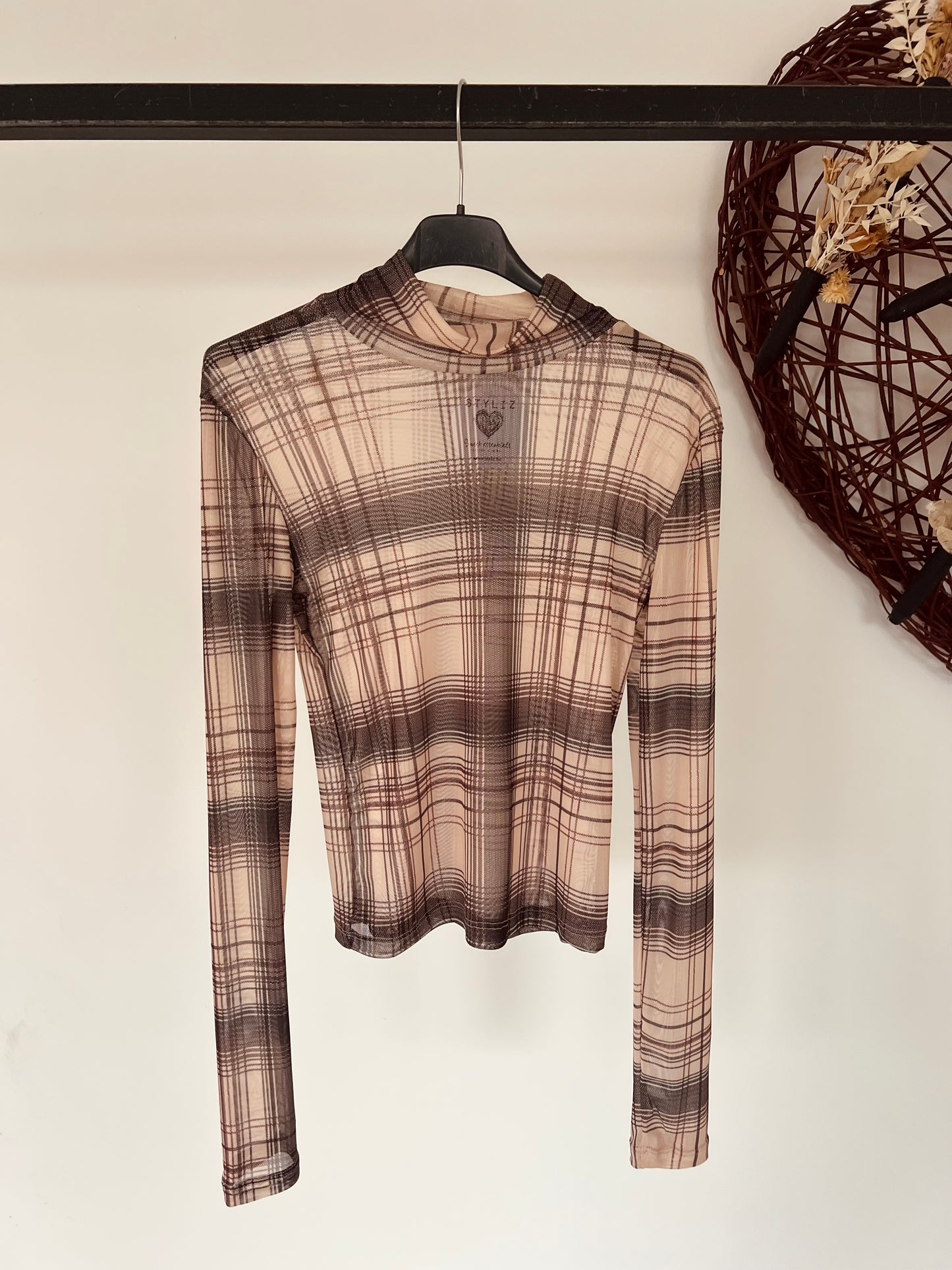 Turtle Lola transparent brown