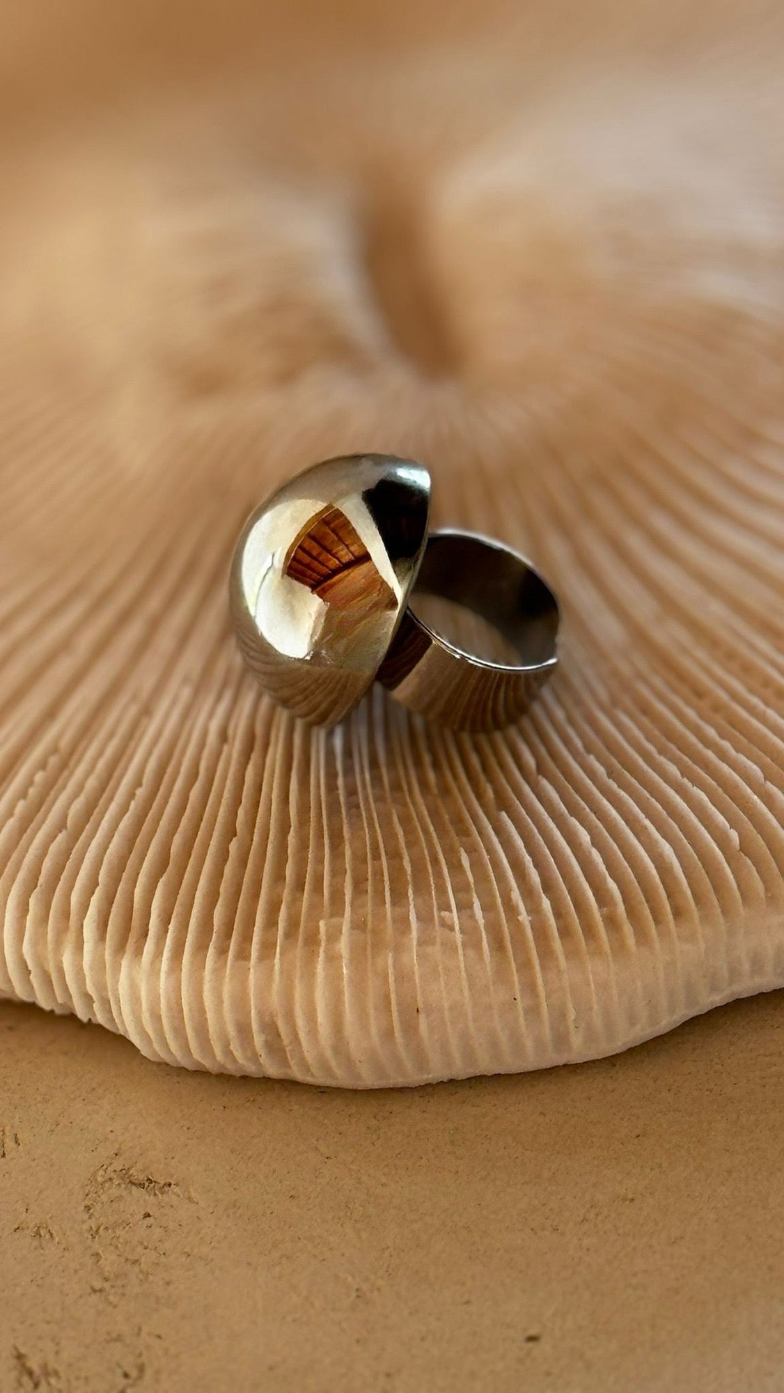 Ring Loro round silver