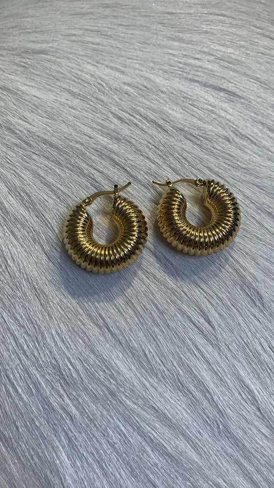 Earring hoops swirl