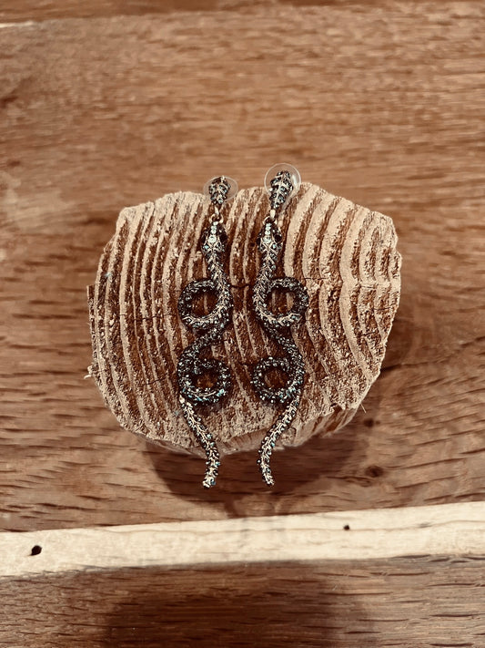 Earrings snake