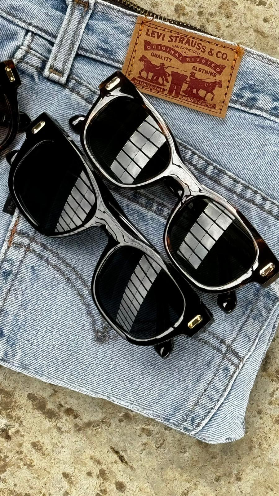 Sunglasses Ray