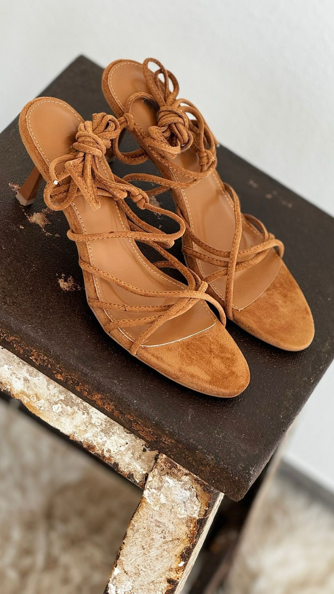 Sandal desert camel